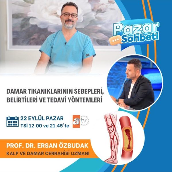 WhatsApp Image 2024-10-12 at 19.15.20